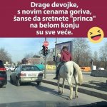 princ.jpg