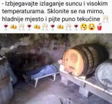 1688848235302.jpeg
