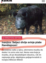 1694518053068.png