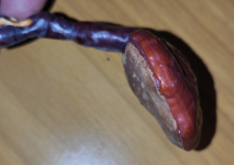 1697560246935.png 1697560246935.png