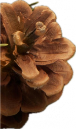 1704064021441.png