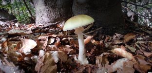 IMG_20221123_065013.jpg IMG_20221123_065013.jpg