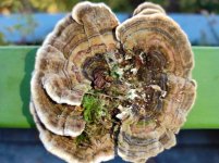 IMG_20221016_080813.jpg IMG_20221016_080813.jpg