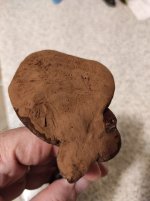 IMG_20240815_202703.jpg IMG_20240815_202703.jpg