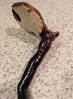 IMG_20240815_203004.jpg IMG_20240815_203004.jpg