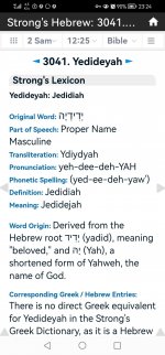 Screenshot_20241230_232436_com.biblehub.app.jpg