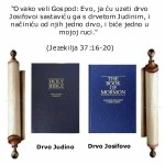Drvo Judino i drvo Josifovo ok.jpg